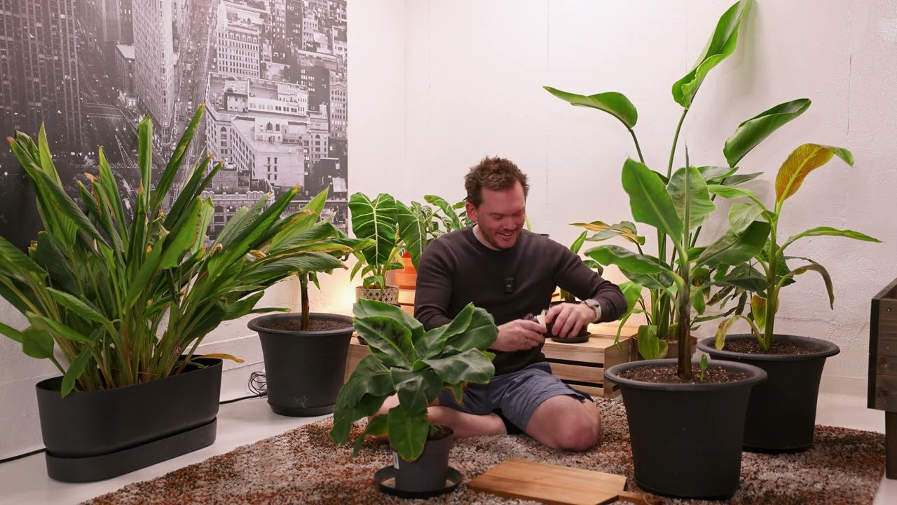 Show & Tell from the Growroom!