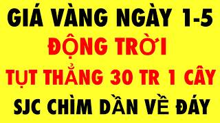 Gi Vng Hm Nay Ngy 152026  Gi Vng 9999 Hm Nay  Gi Vng 9999 Mi Nht  Gi Vng 9999 24k
