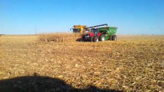 Picking corn with Lexion, 2011 harvest