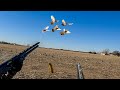 PIGEON HUNTING WITH BOBBY GUY!!!