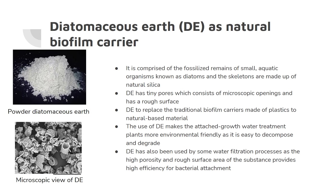 Viability Characterization of Diatomaceous Earth DE as Biofilm carriers ...