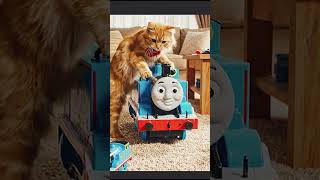 Cute Cat Takes Over Thomas The Tank Engine Ride