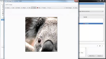 QA in Hansoft - The Basics