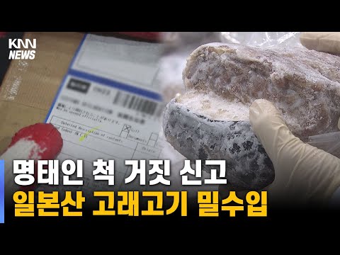 국제거래 금지 고래고기 밀수 적발