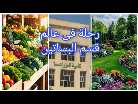 كلية الزراعة ليه تختار قسم البساتين