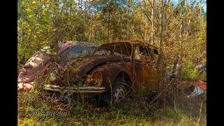 Phil Hadley Live Stream
