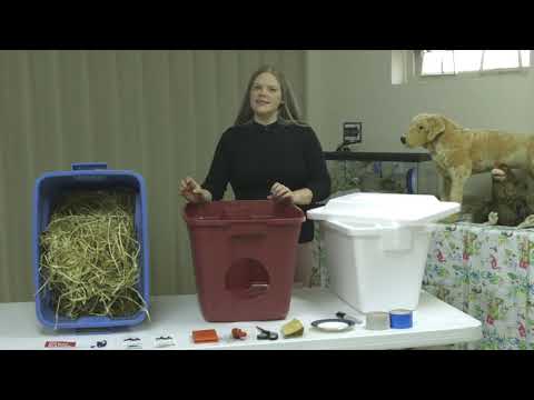 वीडियो: आवारा बिल्लियों के लिए मितव्ययी और घर का शीतकालीन हाउस