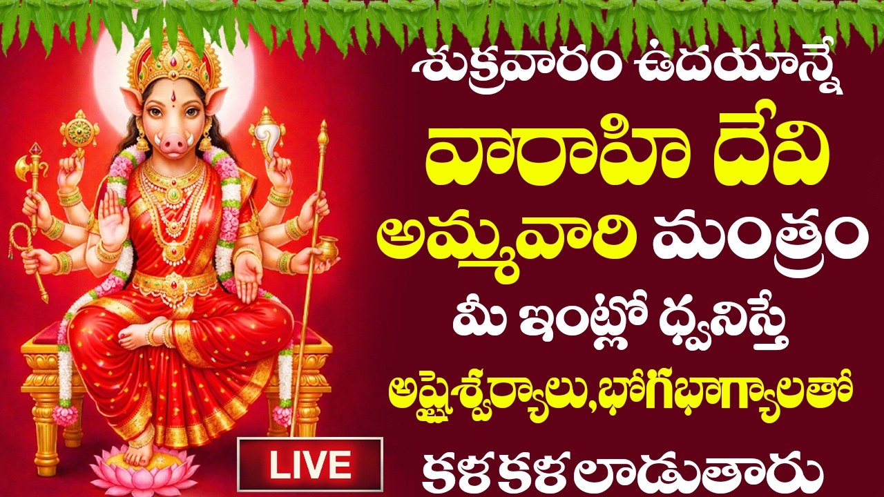 LIVE | శ్రీ వారాహిదేవి మంత్రం వింటే అమ్మవారి అనుగ్రహంతో మీకు సకల శుభాలు కలుగుతాయి #varahidevi