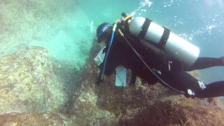 eDNA sampling at San Pedro Nolasco Island - Gulf of California