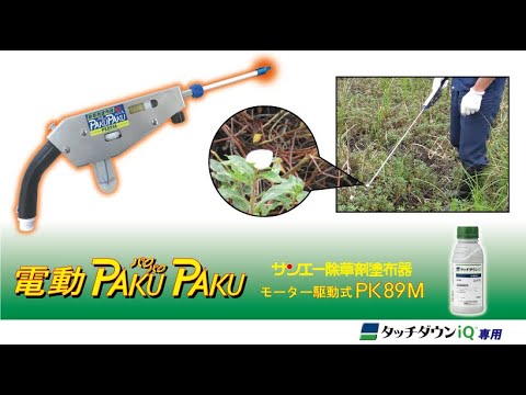 動画
