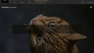 Inserting a nested container Profile
