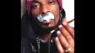 Gangsta party - 2pac ft Snoop Dogg