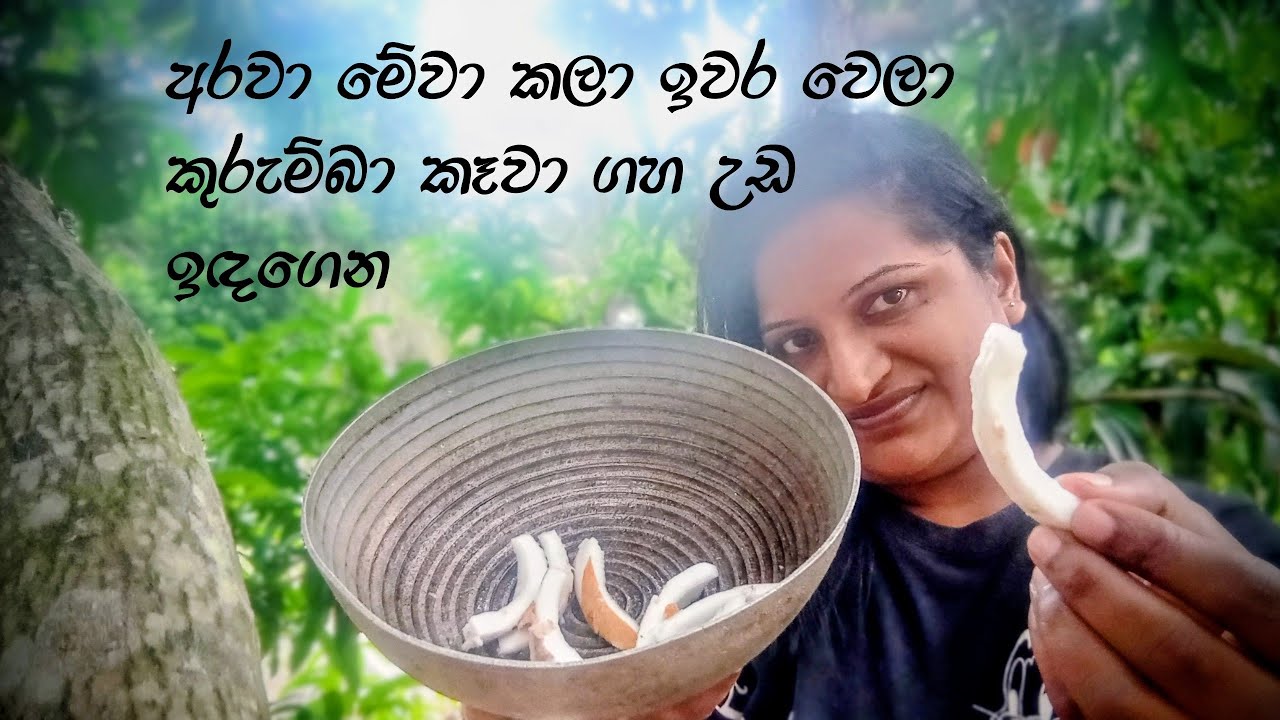 After arava finished doing these things he ate the kurumba sitting on the 🌳 🌳🤩