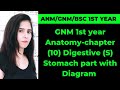 Stomach part with diagram complete information.