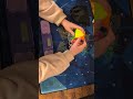 Solving an ivy cube with me.#cubing #rubikscube #tingman #cubers #ivycube