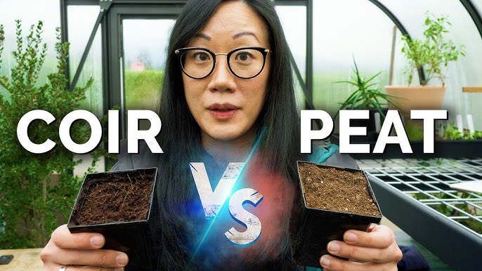 7 Peat Moss Alternatives That Are Better For The Planet - Farmers