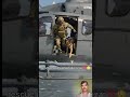 Dangerous Rescue Mission k9 dog & Jawan #shorts #viralvideo