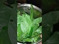 Limpieza de riñón con esta plantas