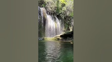 سورة العصر بصوت عبدالرحمان السديس