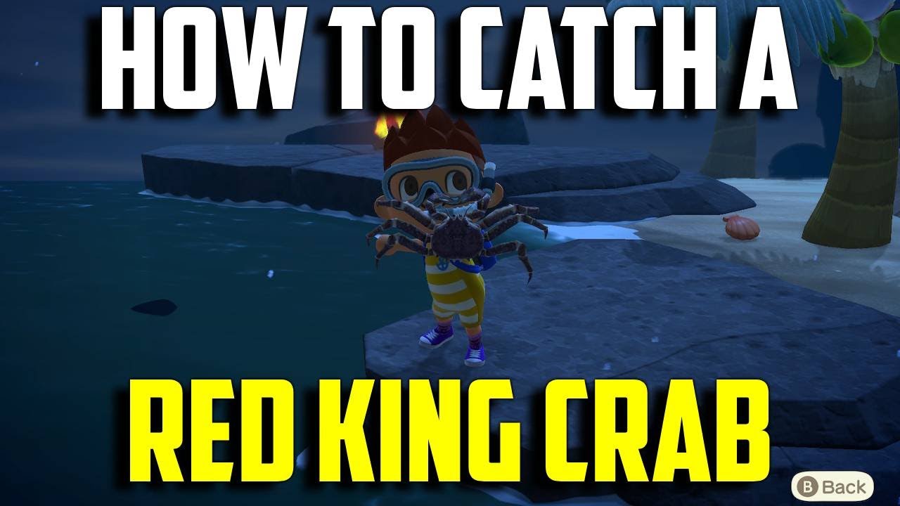 How to Catch a Red King Crab Red King Crab Animal Crossing New