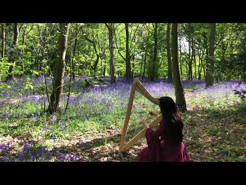 The Woodland Realm