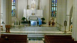 June 11, 2026 - Daily Mass
