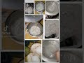 💚🍨 “Nature’s dessert in a bowl – ডাবের পুডিং”#yummy😋😋😋#testy😋😋😋 #foryoupageyoutube 💗💗💗