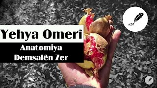 Yehya Omerî - Anatomiya Demsalên Zer (Deng: Qeyso) [Binnivîs] Resimi