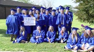 2017 Laville Senior Walk