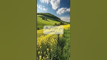 تلاوة عبدالرحمٰن السديس، سورة قريش
