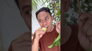Download Lagu Makan buah Mengkudu #mukbang #makanbuah MP3