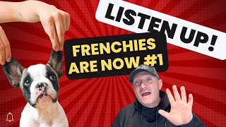 French Bulldog New King // How the Frenchie toppled the Labrador