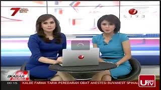 Download lagu Windy Wellingtonia #2