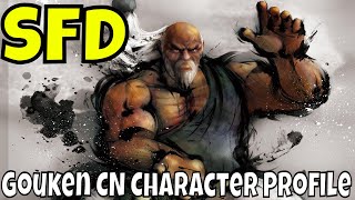Street Fighter Duel  Gouken CN Character Profile/God Shoto Tank/Future Global Fighter