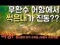 원스팜, 결국 환수한 이유... 리빙박스 무환수 거북이항 3개월차에 닥친 위기(레이저백 터틀)