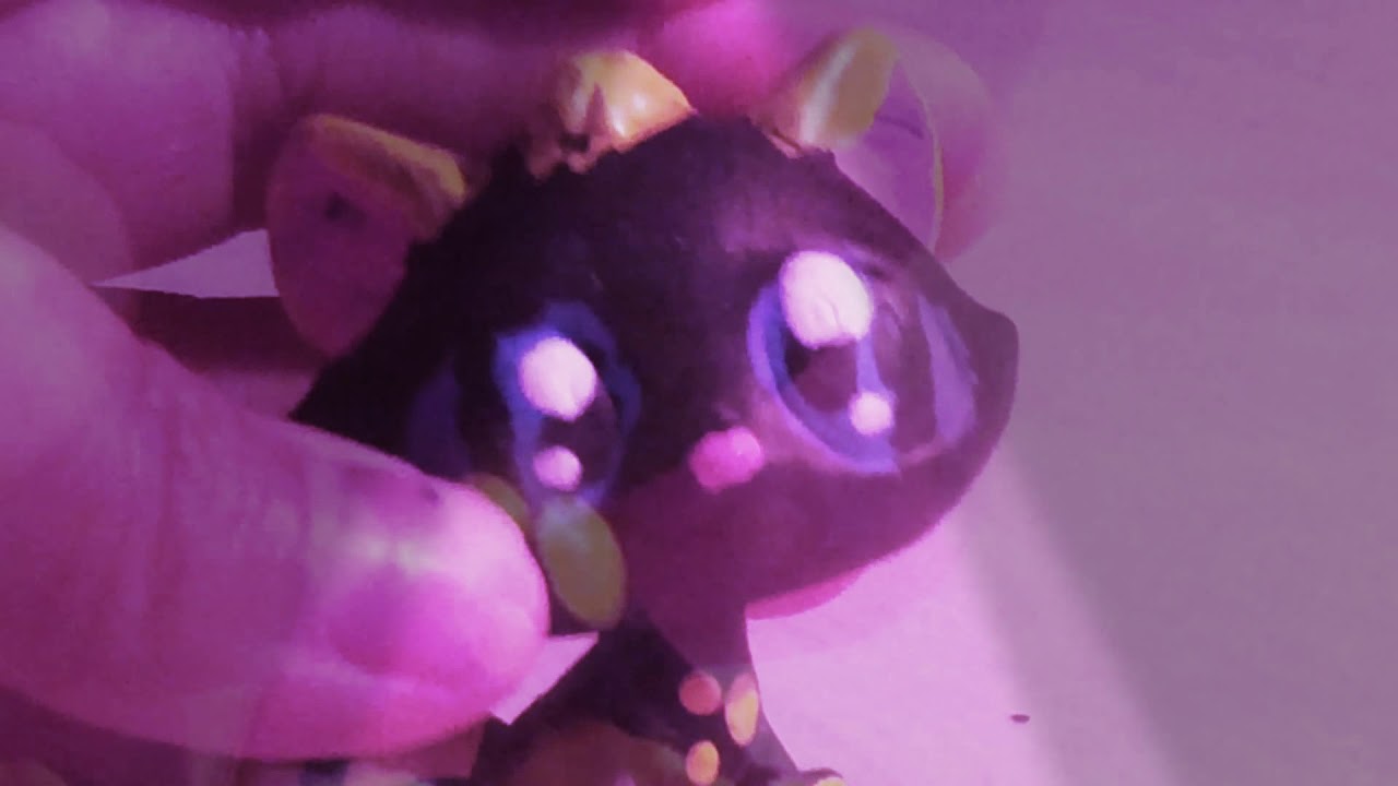 Black And Yellow Song LPS YouTube Black and yellow song lps youtube