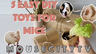 5 EASY DIY toys for mice and other rodents    - MouseCityTV   #mouse #toys #diy #easy