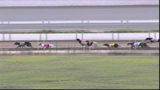WAGGA-06052015-RACE-4