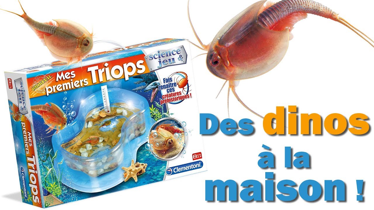 Triops et le monde des dinosaures - Clementoni