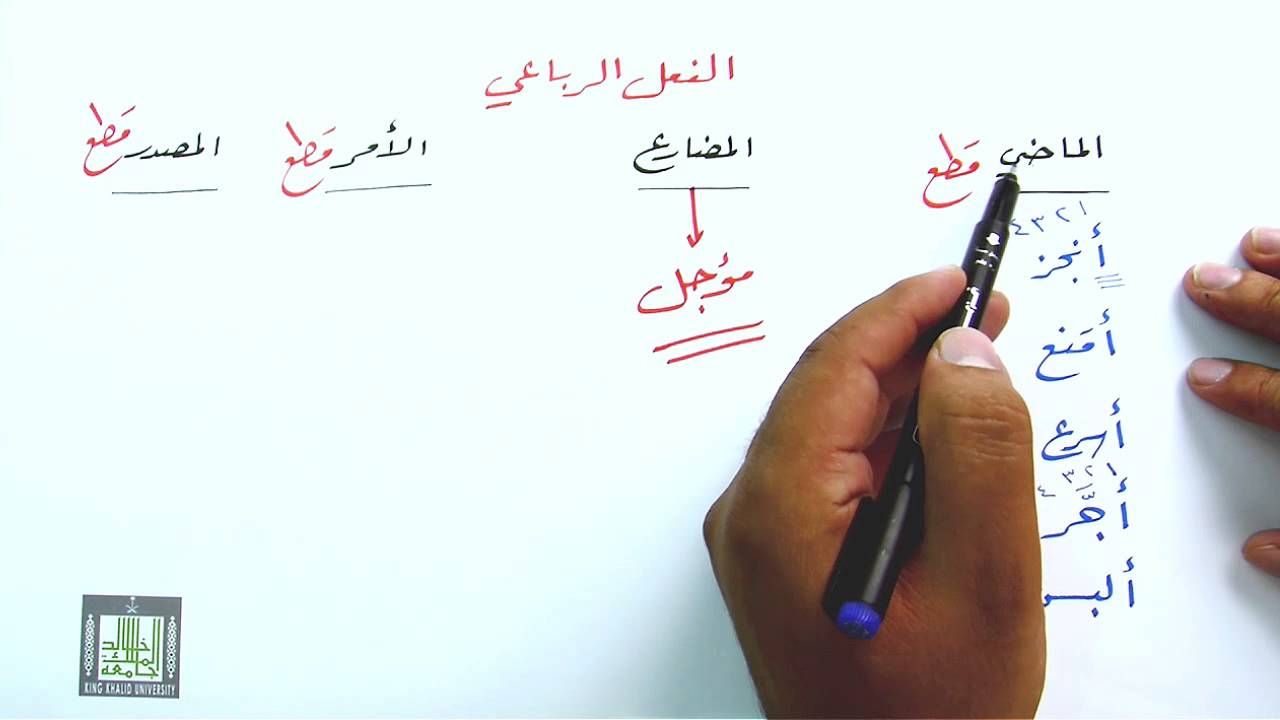 همزة الوصل والقطع في الأفعال٣