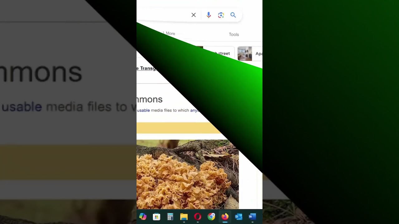 How to add a picture to Wikipedia. Wikimedia Commons images copyright by Eloho Oyegwa. Lexington Ave