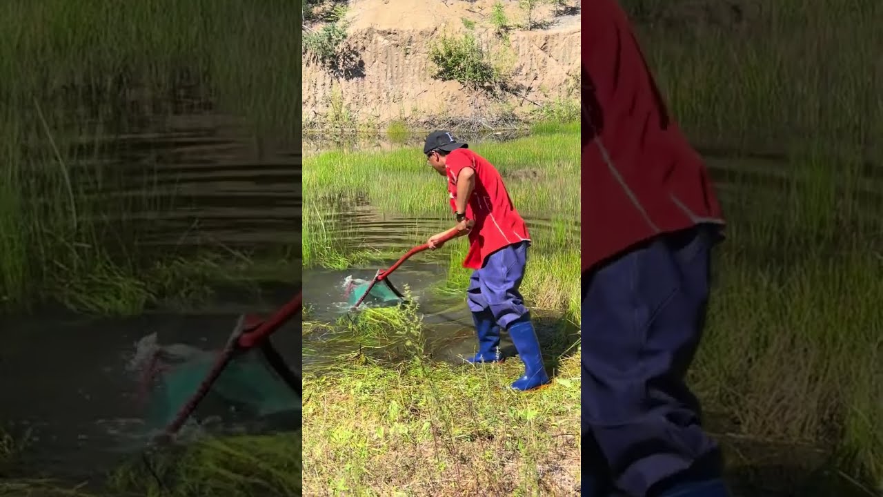 Fishing In Mohe The Northeast Joy Of Outdoor Wild Experiencex 410