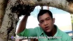 Lagu Aceh Terbaru 2014 Ipan Tinggai Keunangan dan kesucian - Durasi: 9:32. Lagu Aceh Terbaru 2014 Ipan Tinggai Keunangan dan kesucian - Durasi: 9:32.