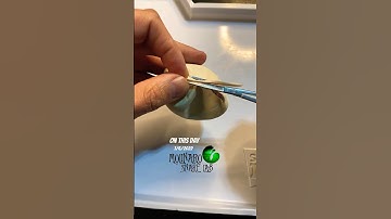🐍#EggCutting🧪 #molinarosnakelab #ballpython #snakeegg #python #reptiles #Kugelpython #pitone #diy