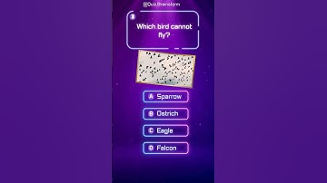 5 Quiz Questions Only Geniuses Can Answer – Are You Up for the Challenge?