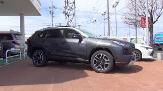 2019 新型 トヨタ RAV4 アドベンチャー 4WD 内外装