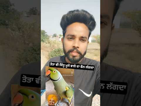 ਤੋਤਾ ਵੀ ਸਿੱਧੂ ਮੂਸੇ ਵਾਲੇ ਦਾ ਫੈਨ ਲੱਗਦਾ #sidhumoosewala