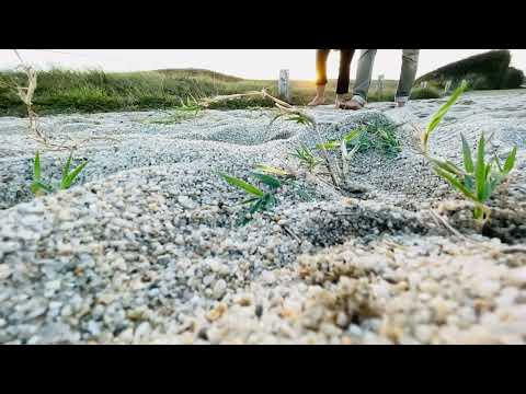 Video-thumbnail van Camping Landrezac Plage