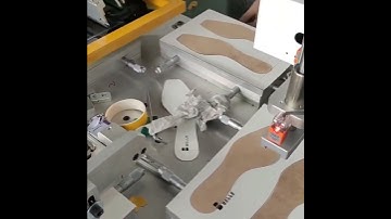 Automatic Screen printing machine for shoe insole