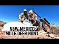 CAZA de VENADO desertico 🌵🌵  (New Mexico Mule Deer Hunt)